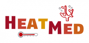 logo-HeatMed